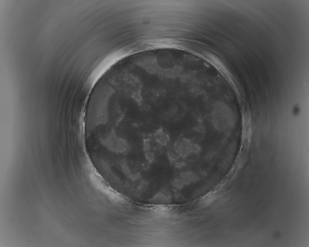 X0000116120814200912141044