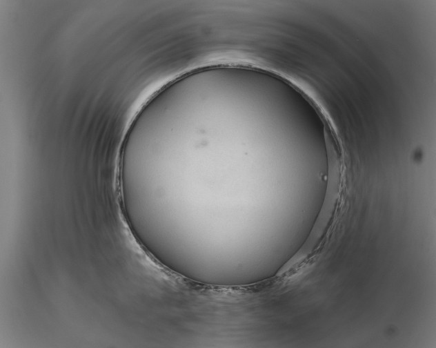 X0000116120815200912141044