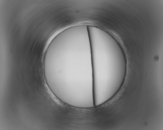 X0000116120816200912141044