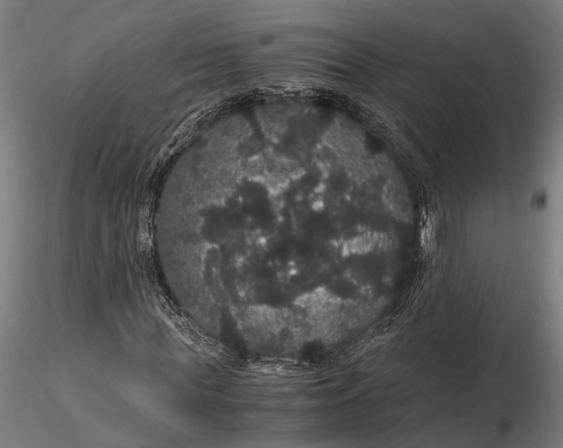 X0000116120819200912141043