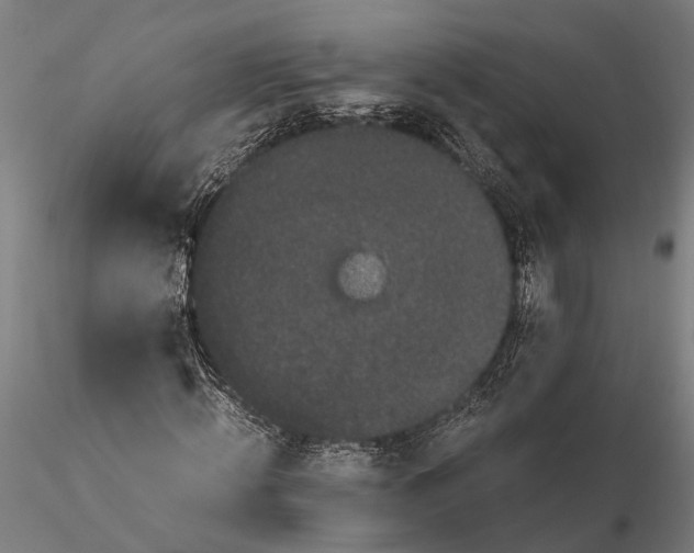 X0000116120820200912141043