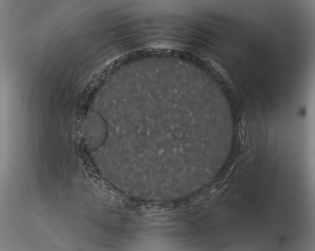 X0000116120821200912141043