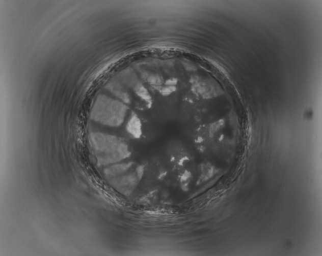 X0000116120823200912141043