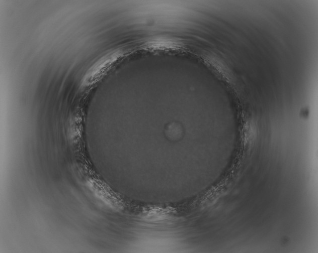 X0000116120824200912141043