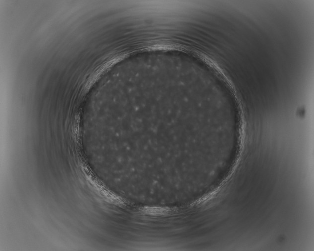 X0000116120825200912141043