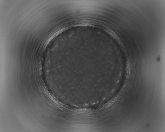 X0000116120826200912141043