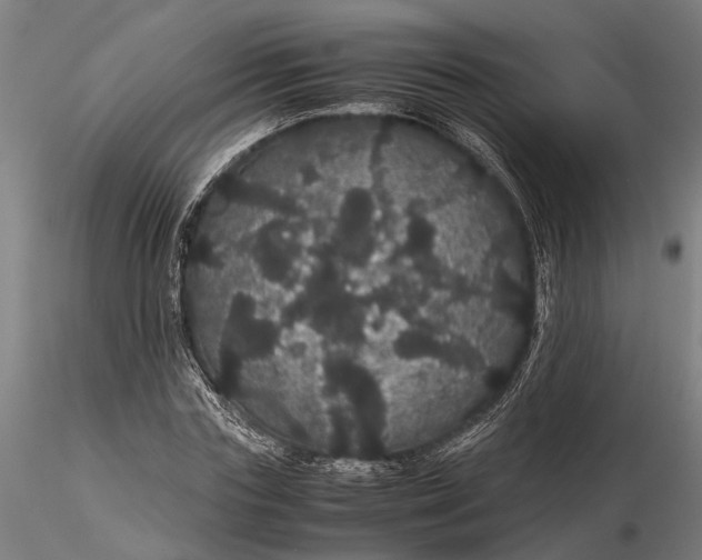 X0000116120827200912141043