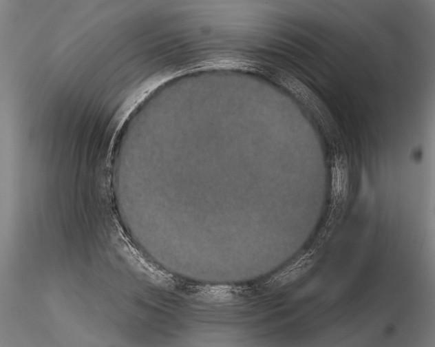 X0000116120828200912141043