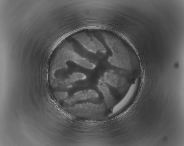 X0000116120829200912141043