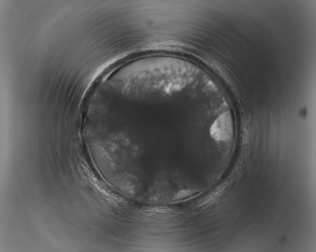 X0000116120830200912141043