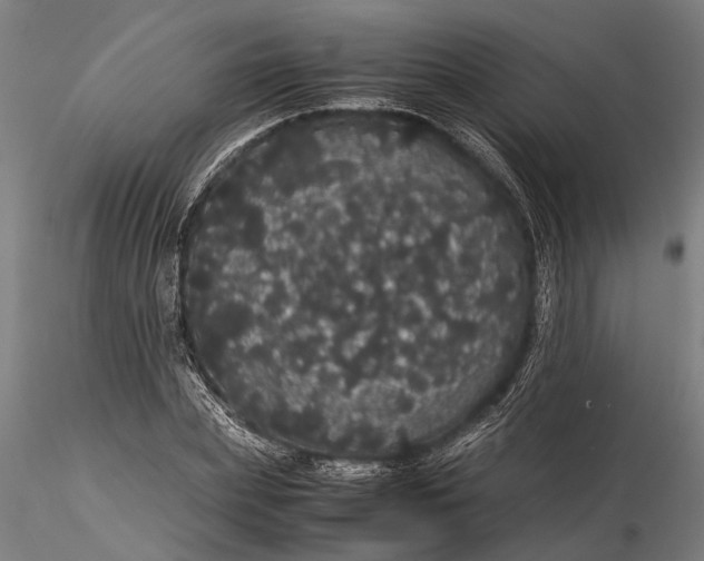 X0000116120831200912141043