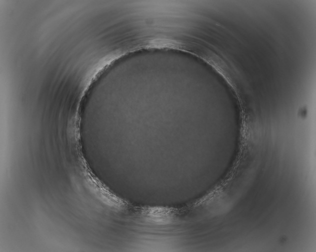 X0000116120832200912141043