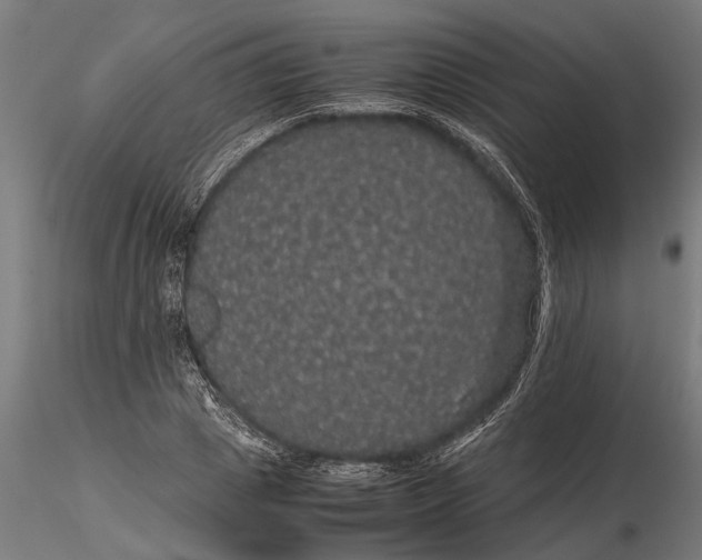 X0000116120833200912141043