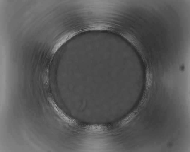 X0000116120834200912141043