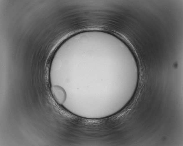 X0000116120835200912141043