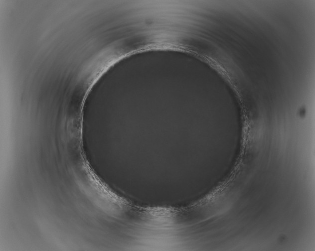 X0000116120836200912141043