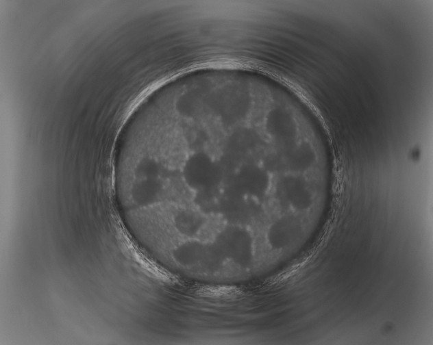 X0000116120837200912141043