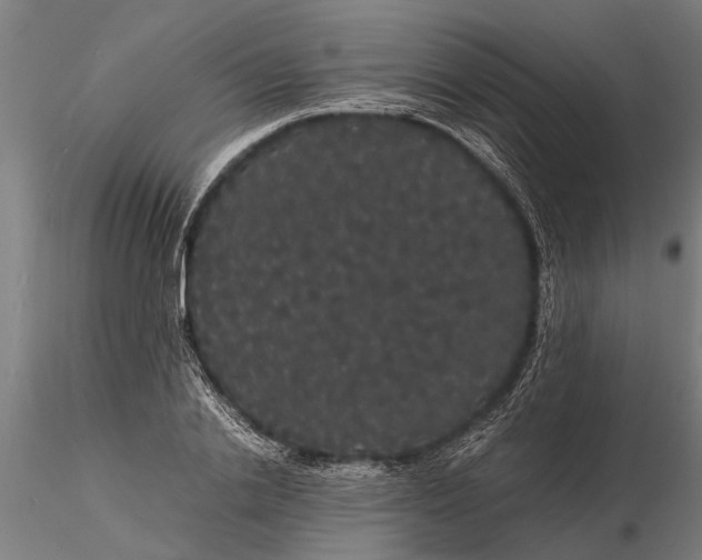 X0000116120838200912141043