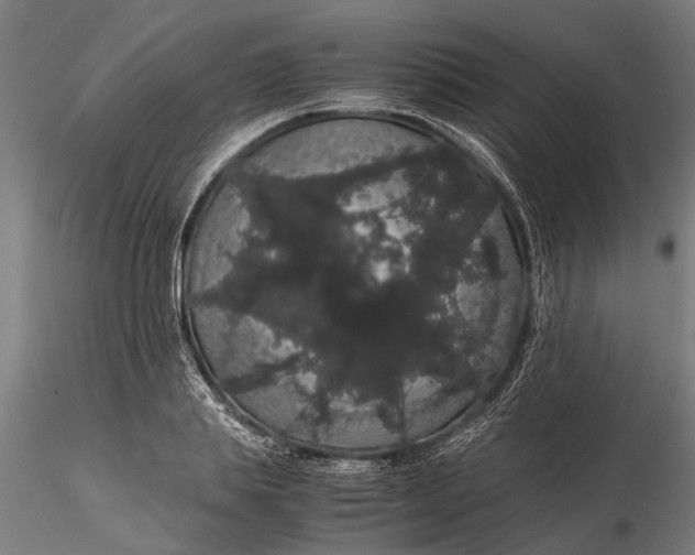 X0000116120839200912141043