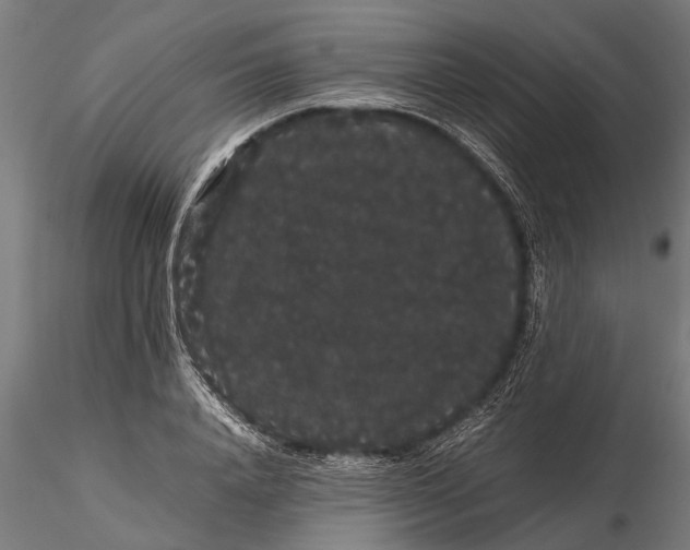 X0000116120840200912141043