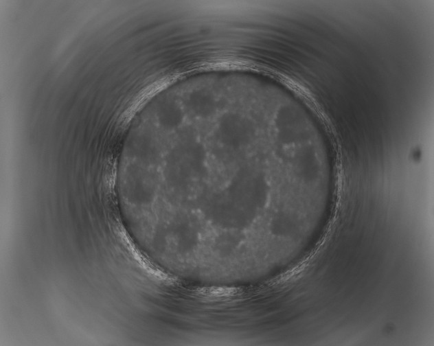 X0000116120841200912141043