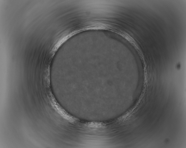 X0000116120842200912141043