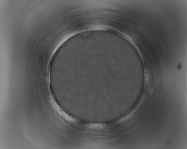 X0000116120843200912141043