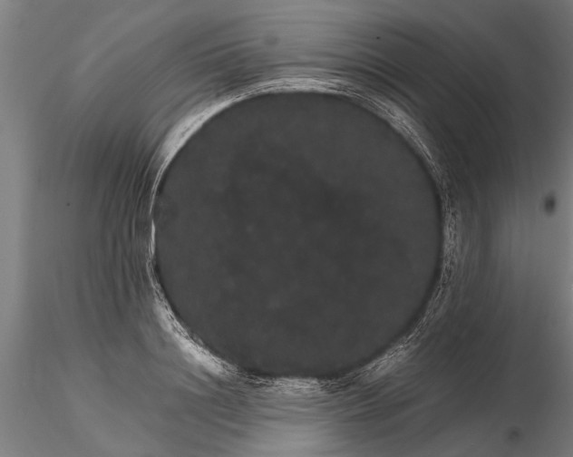 X0000116120844200912141043