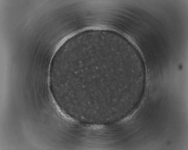 X0000116120845200912141043