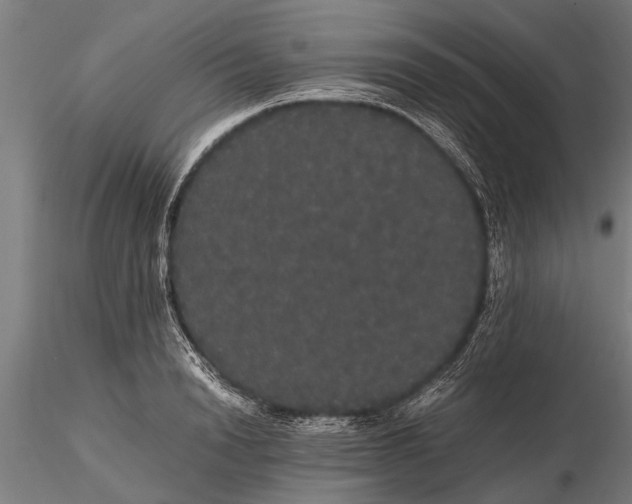 X0000116120846200912141043