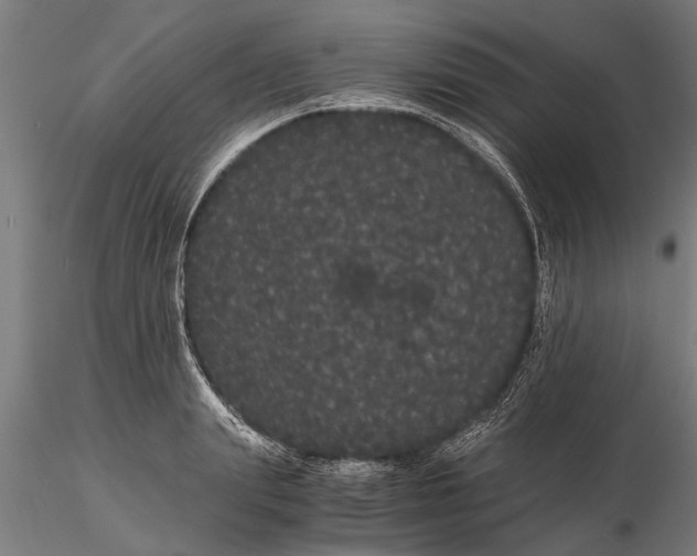 X0000116120847200912141043