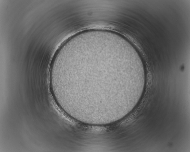 X0000116120848200912141043