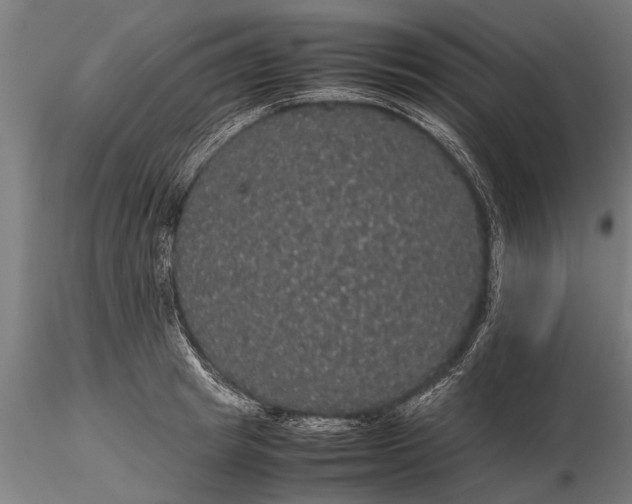 X0000116120849200912141043