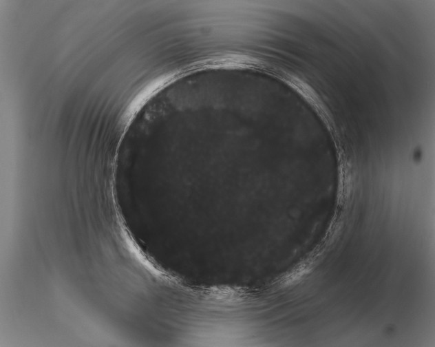 X0000116120850200912141043