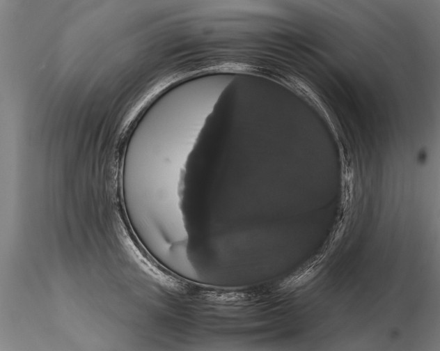 X0000116120851200912141043