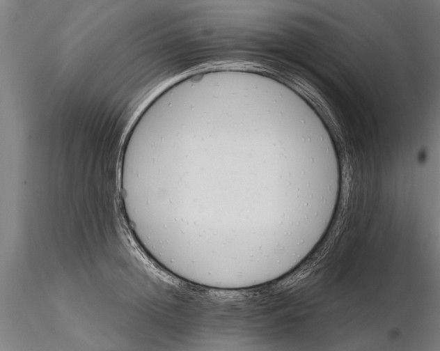 X0000116120852200912141043