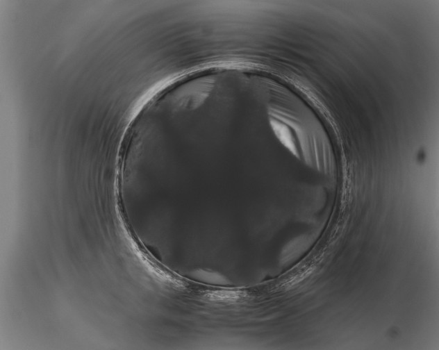 X0000116120853200912141043