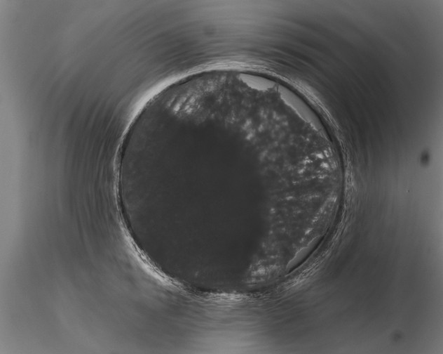 X0000116120854200912141043