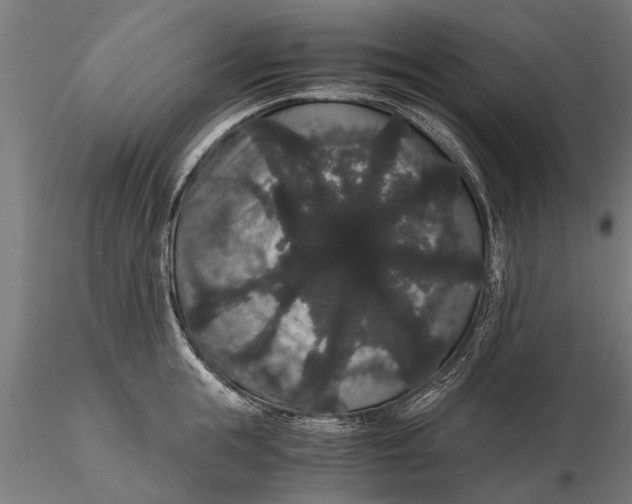 X0000116120855200912141044