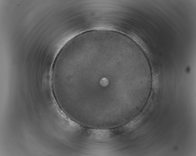 X0000116120856200912141044