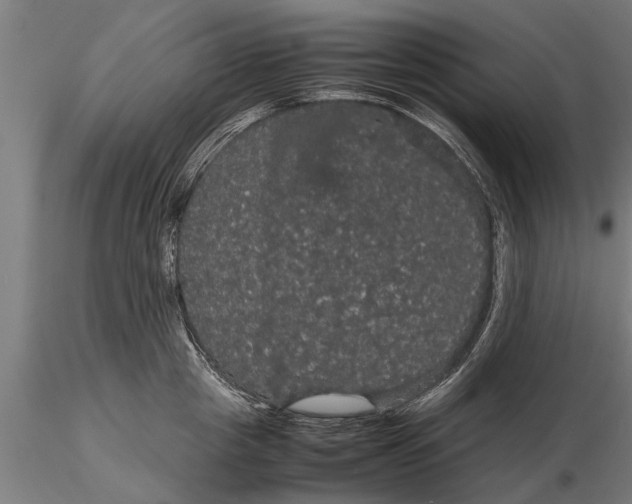 X0000116120857200912141044