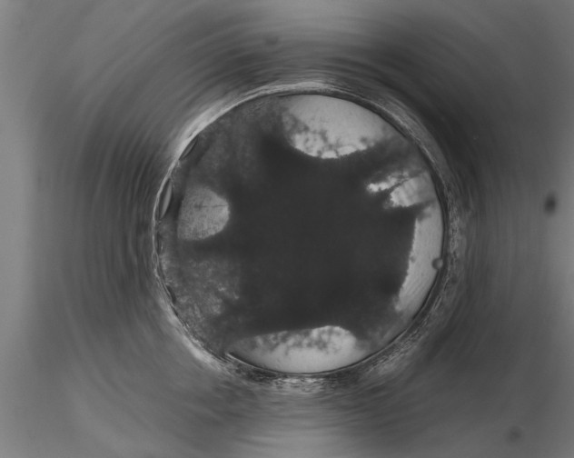 X0000116120858200912141044