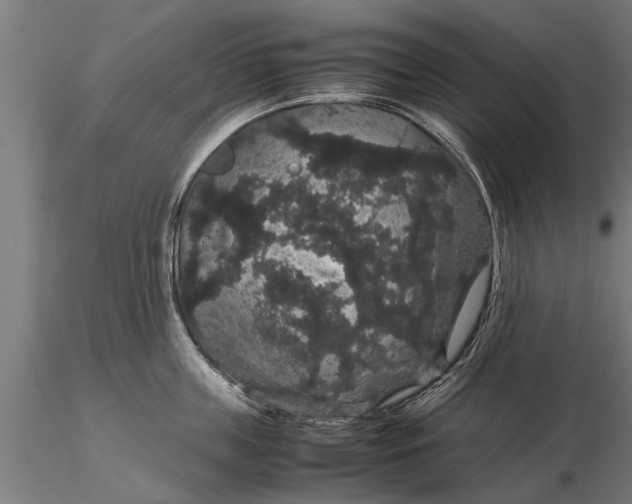 X0000116120859200912141044