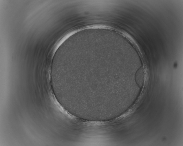 X0000116120860200912141044