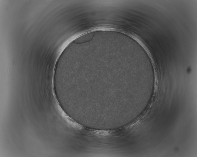 X0000116120861200912141044