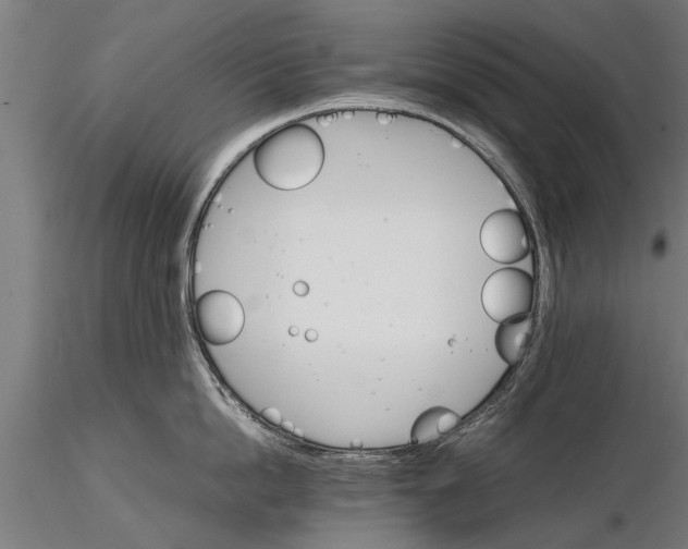 X0000116120862200912141044