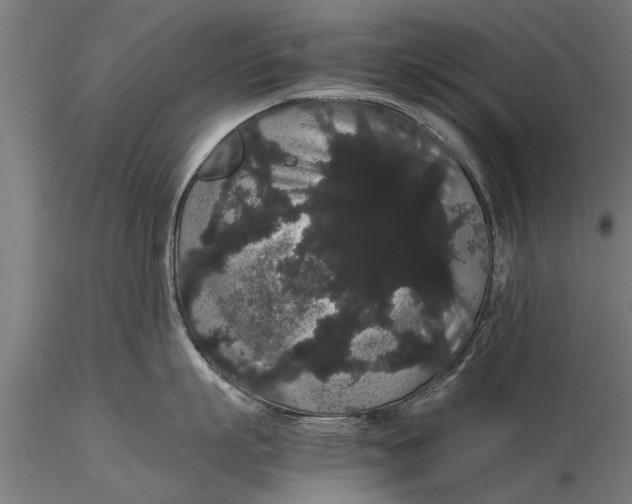 X0000116120863200912141044