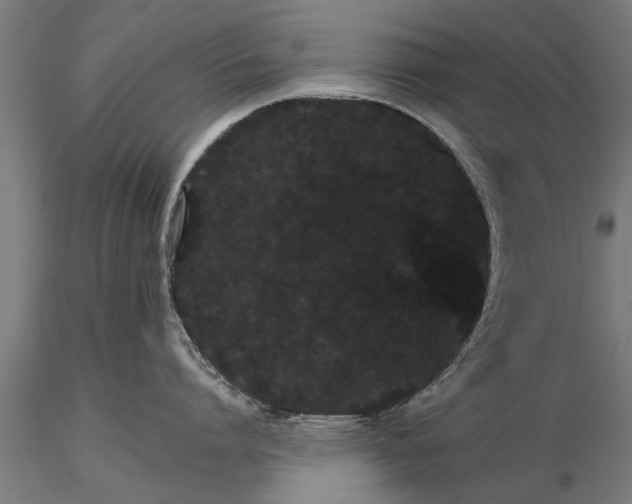 X0000116120864200912141044