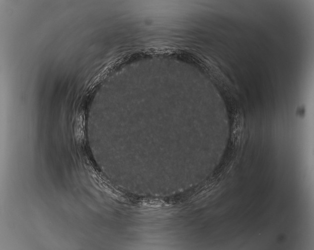 X0000116120866200912141043