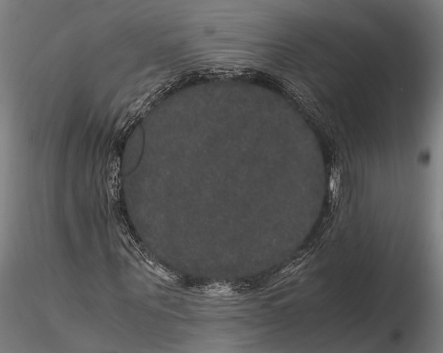 X0000116120867200912141043